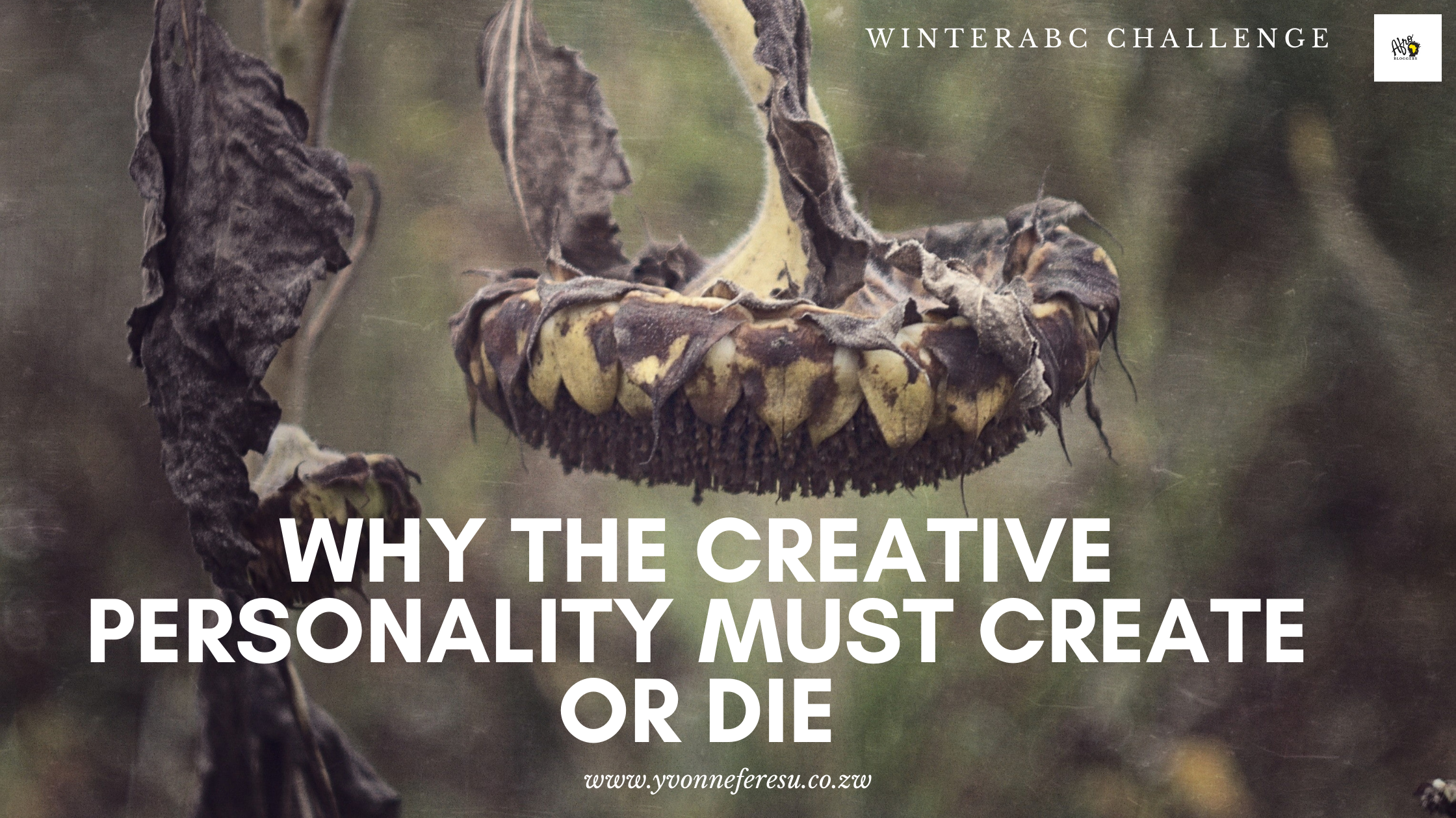 The image show a wilting sunflower, symbolism for the dying spirit of creative personalities